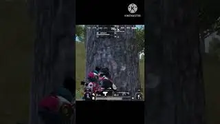 They Pushed me Pubg mobile . 