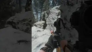 How to play woods in Escape from Tarkov 