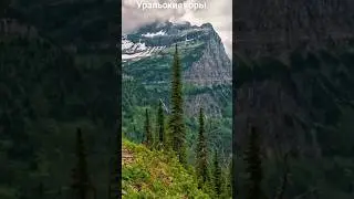 #андрейординарцев