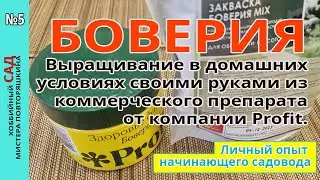 #боверия