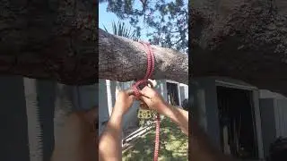 How to Tie the Cow Hitch, Hitch Perfect for RIgging!