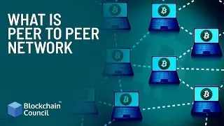 What Is Peer To Peer Network ? | Blockchain Council