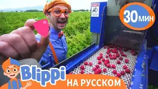 Песня Про Малину | Обучающие песни для детей | Blippi Russian