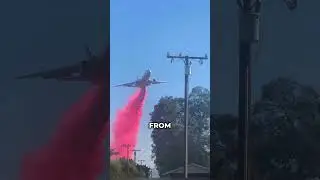 Run Away Quickly 😨