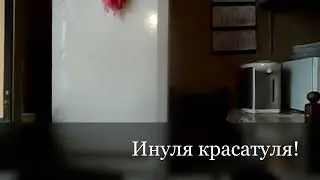 Напарница Инуля