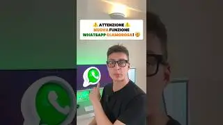 Nuova ASSURDA funzione WhatsApp: ecco i PREFERITI!