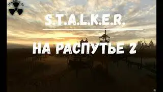 S.T.A.L.K.E.R. На распутье 2. Химеры. Спасаем Муму. Связной. Тайник Диггера. Загадочный артефакт.