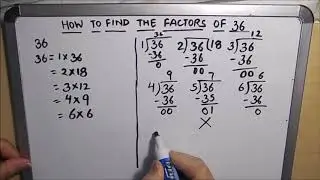 How to Find Factors of 36 / What are the Factors of 36 / Finding Factors of 36