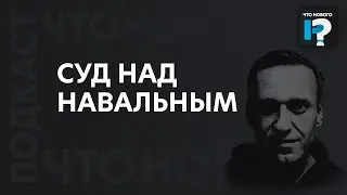 «Даже потерпевшие не имеют к нему никаких претензий». Как идет процесс по делу Навального?