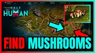 How To Find MUSHROOMS In Once Human (QUICK GUIDE)