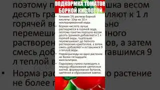 ПРАВИЛЬНАЯ ПОДКОРМКА ТОМАТОВ БОРНОЙ КИСЛОТОЙ