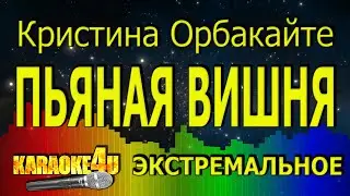 Кристина Орбакайте | Пьяная вишня | ЭКСТРЕМАЛЬНОЕ КАРАОКЕ (Кавер минус)