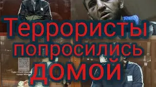 Соучастники террористов / Спас ребёнка / Потоп во Владивостоке / Умер Фил Донахью