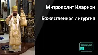 Митрополит Иларион | Прямая трансляция | Божественная литургия | 25.06.2023