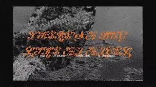 Mitski - Bug Like an Angel (Spanish Lyric Video)