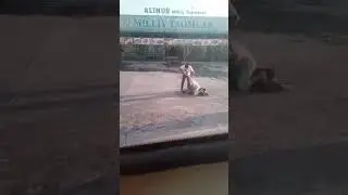 буларга нима булди 😱😱😱