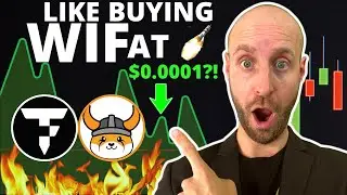 🔥IS THIS THE NEXT WIF, BONK AND DOGE CRYPTO MEMECOIN?! TOKENFI EXPLAINED! (URGENT!!!)