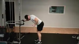 Tricep Cable Kickback - DC FIT