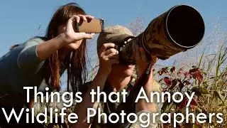 Stuff that Annoys Wildlife Photographers