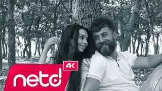 Shakkan - Taptım