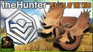 The Diamond Moose Of A Lifetime Gets SMOKED With The Muzzleloader! Call of the wild