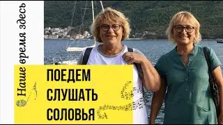 Поедем слушать соловья