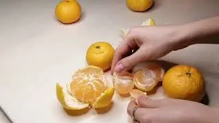 Мандаринки с натуры  маслом
