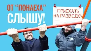 ОТ “ПОНАЕХА” СЛЫШУ. Приехать на разведку в Краснодар