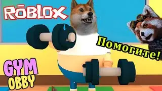 Побег из спортзала Обби РОБЛОКС Escape The Gym Obby ROBLOX!