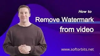 How to Remove Watermark from Video