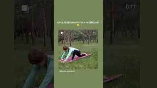 Ящерица✨Вдохновение