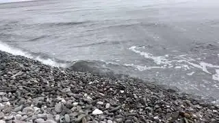 Море завораживает/ Опасная дорога домой