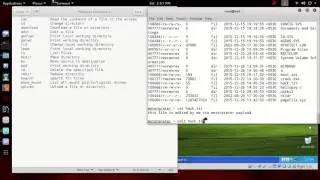 Meterpreter - FILE command help