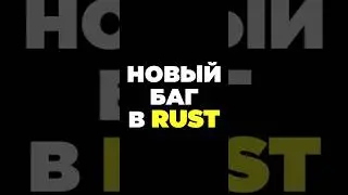 НОВЫЙ БАГ С МИНИГАНОМ [Rust/Раст] 
