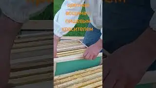 эксперимент с цветной вощиной для мёда в сотах ч.1 #shorts