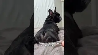 Ароматы Франции 😀