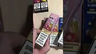 Электронка Bjorn 5000