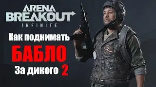 Как выживать за дикого на долине / Arena Breakout Infinite / ABI