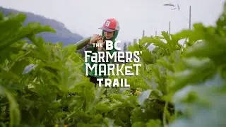 Coming Soon: BC Farmers' Market Trail Stories (Trailer)