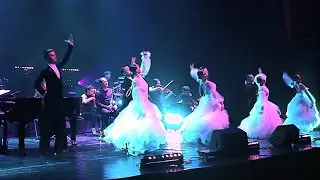 Dmitry Metlitsky Orchestra - Viennese waltz | Concert of Beautiful Music