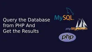 Query the Database from PHP And Get the Results | Web Development | The Quick Code