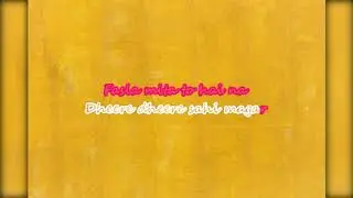 Tu Mila To Haina, De De Pyar De, Ajay Devgn, Rakul,  Lyrical, Karaoke, Instrumental.