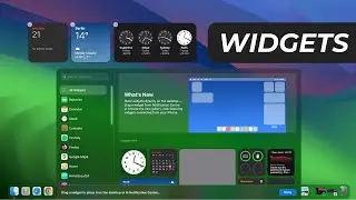 MacOS Sonoma: New Widget Features (2023)