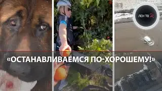 Воры вернулись через неделю | Погоня за пьяным | Письма на СВО |Пожар в полиции назвали фейком