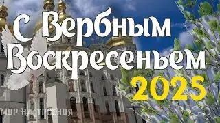 ПОЗДРАВИТЬ С ВЕРБНЫМ ВОСКРЕСЕНЬЕМ 2024 от души родных и друзей  🌿  видео с вербным воскресеньем