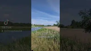 Песни для души