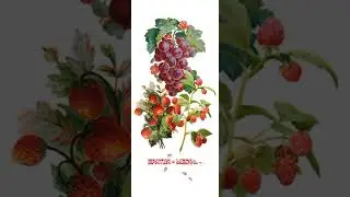 Короткий стишок | Братья - месяцы Елена Эрато