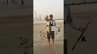 Хамур на спиннинг с берега 