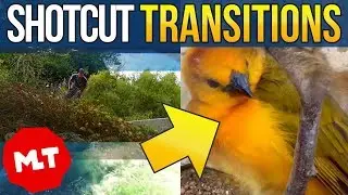 Shotcut Video Transitions Tutorial