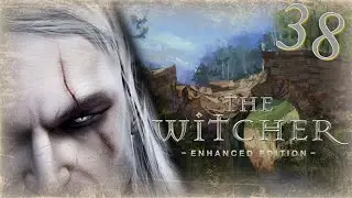 The Witcher (Ведьмак) - Прохождение Часть 38 (Зеркало Нехолены И Домовые)